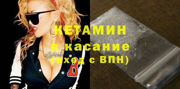 сатива Карпинск