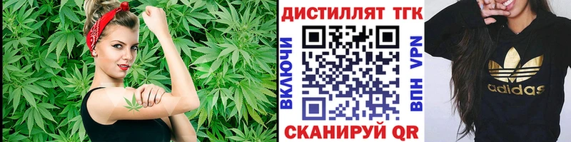 Дистиллят ТГК концентрат  Купить где  Сенгилей 