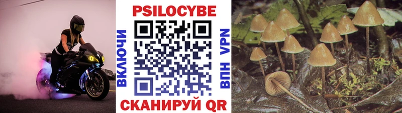 Галлюциногенные грибы MAGIC MUSHROOMS Сенгилей